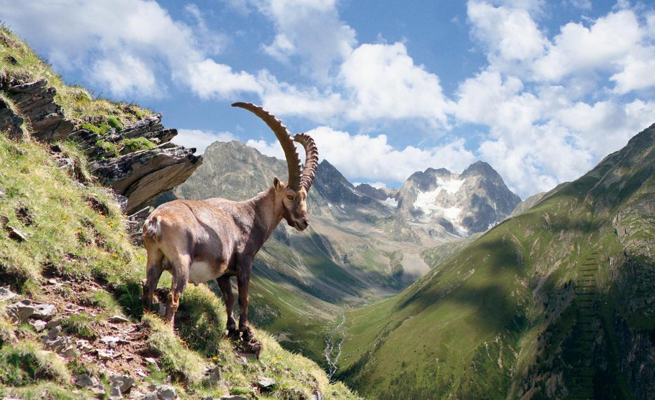 Ferienwohnung Bergland Sankt Leonhard im Pitztal Kültér fotó